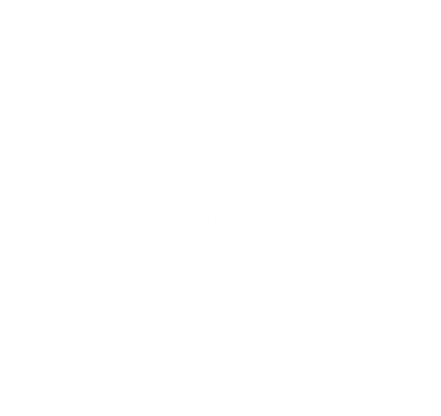 Pheonix Logo